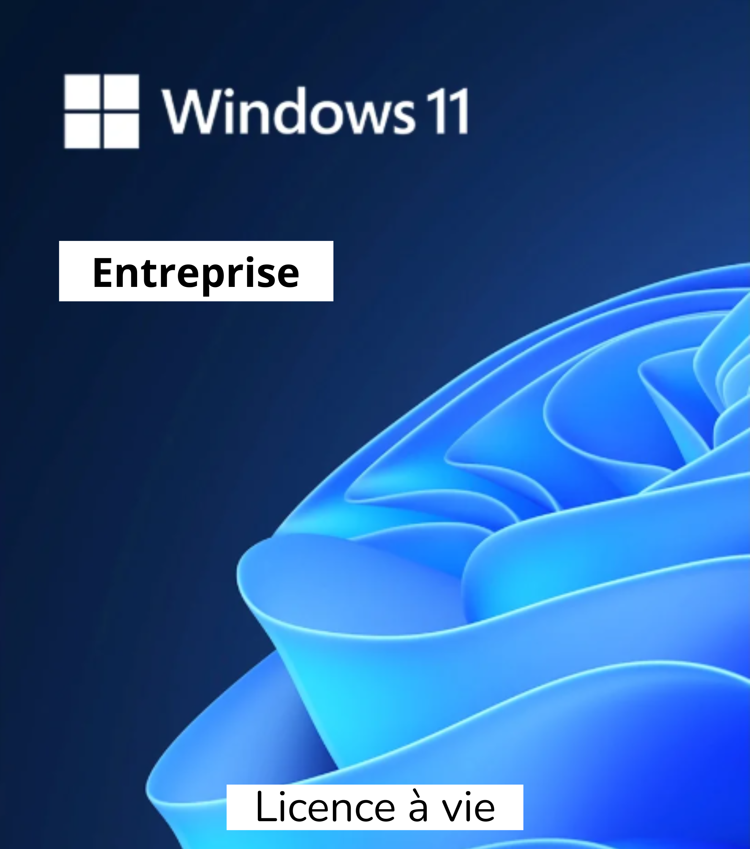Licence Entreprise